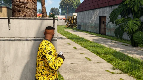 Cover Mod for Walls/Cars